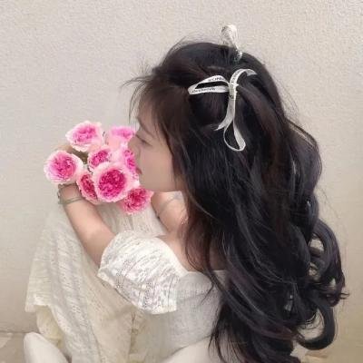 世界街头女斗士3